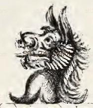 ANIMAL_0206